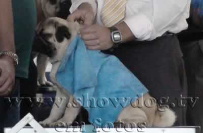 Clique sobre a foto para fechar